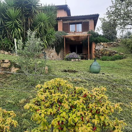 Maremma Che Vista! Apartment Campagnatico Exterior foto