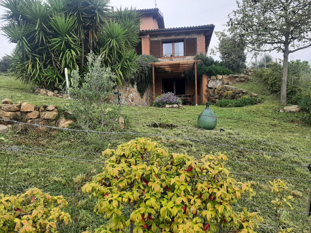 Maremma Che Vista! Apartment Campagnatico Exterior foto