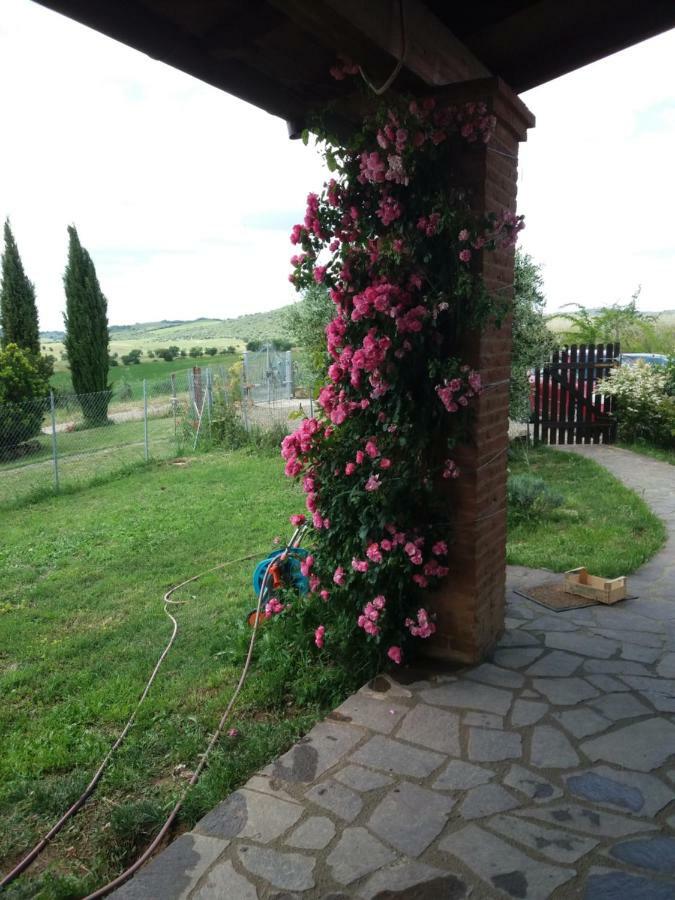 Maremma Che Vista! Apartment Campagnatico Exterior foto