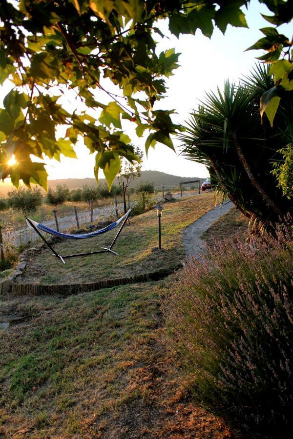 Maremma Che Vista! Apartment Campagnatico Exterior foto