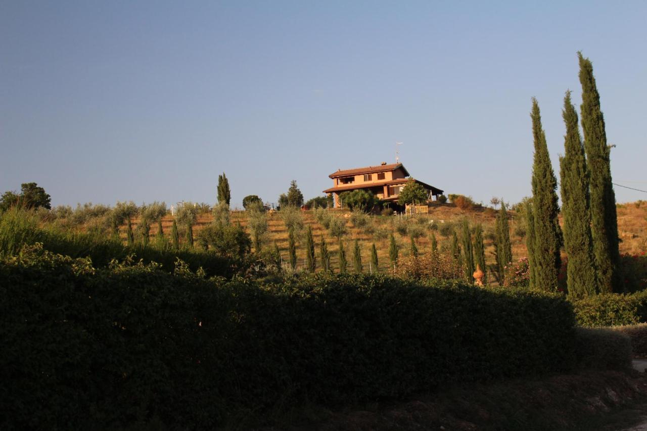 Maremma Che Vista! Apartment Campagnatico Exterior foto